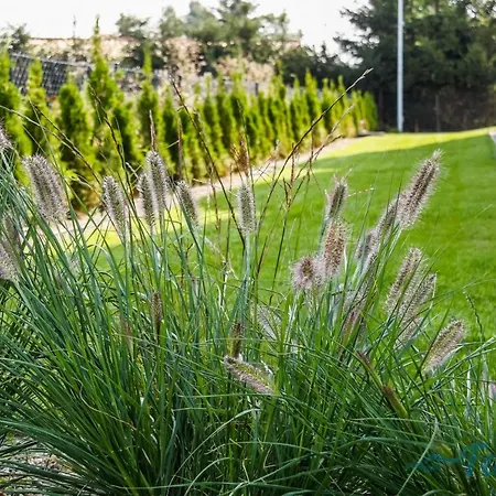 Falabay Сasa de vacaciones Karwieńskie Błoto