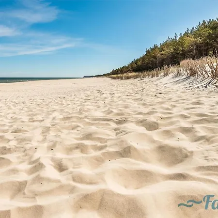 Falabay Karwieńskie Błoto