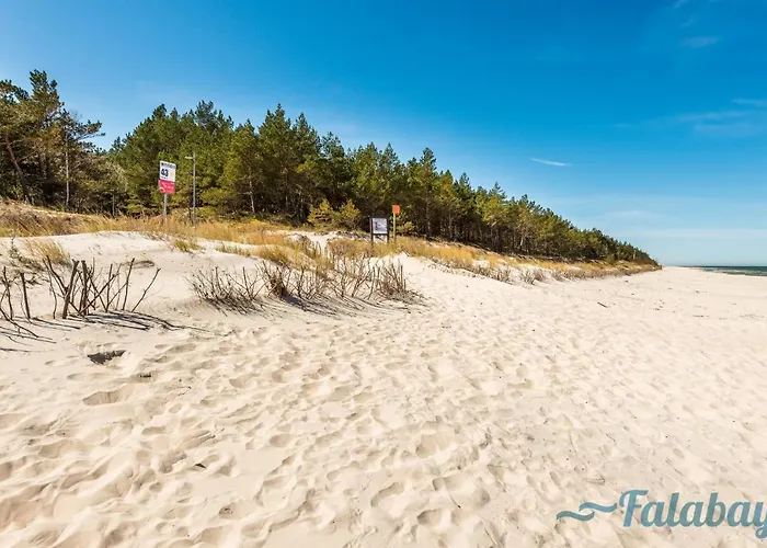 Falabay Karwieńskie Błoto