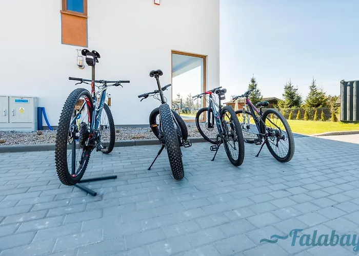 Falabay Karwieńskie Błoto