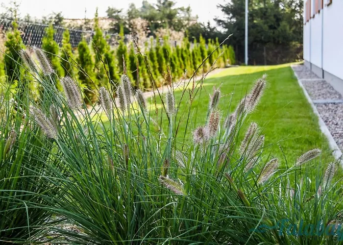 Falabay Semesterbostad Karwieńskie Błoto