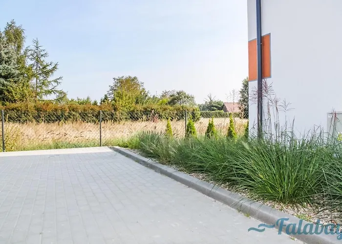 Falabay Karwieńskie Błoto