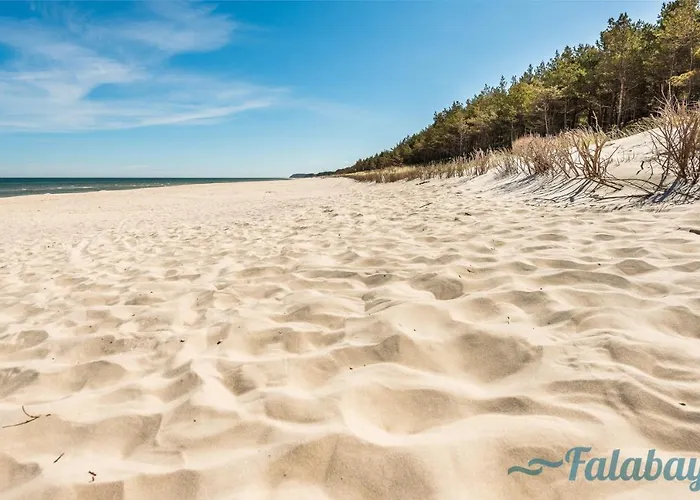Falabay Karwieńskie Błoto